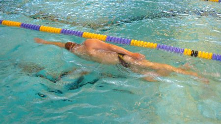 Triathletes! Focus On Swim Technique! (Should You Drop The Hand Paddles And Pullbuoys?)