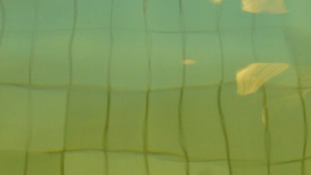 How To Achieve Total Body Awareness In Swimming (Do You Know What Your Body Does In The Water?)