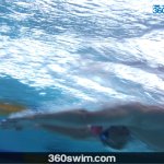 New Breaststroke Rule Adopted by FINA