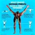 What Made Michael Phelps So Good? (Anatomy of a Champion)