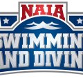 How To Get A Swimming Scholarship In The USA? (Higher Education And Top Swimming Combined)