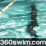 Your Body As A Tree Log (Correct Head Position During Swimming)