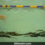 Learn The Flutter Kick By Doing it Wrong (Freestyle Swim Kick Explained)