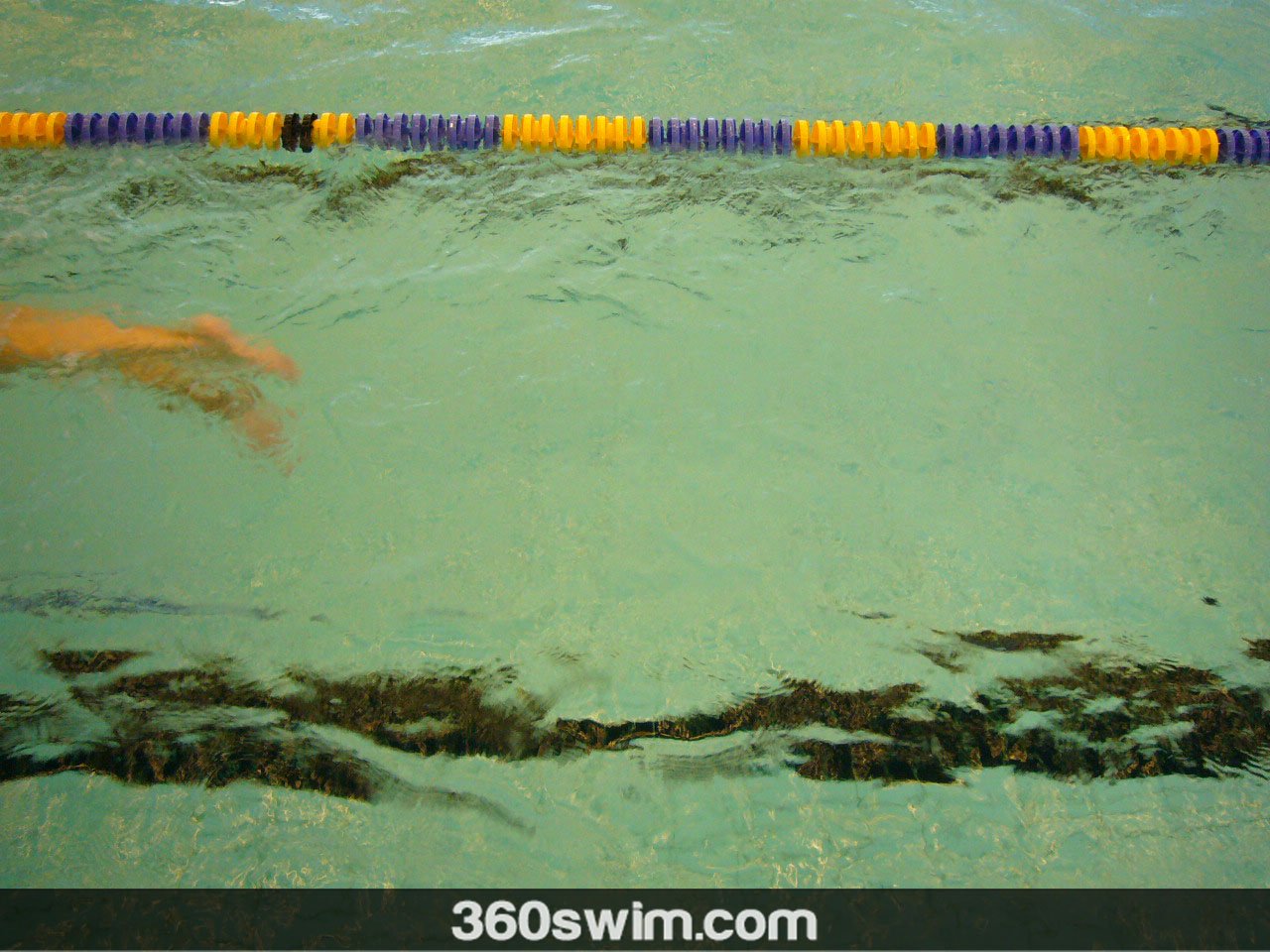 Learn The Flutter Kick By Doing it Wrong (Freestyle Swim Kick