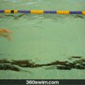 Learn The Flutter Kick By Doing it Wrong (Freestyle Swim Kick Explained)