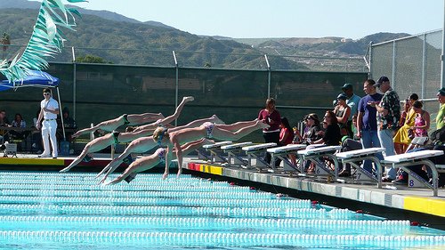 diving into the pool