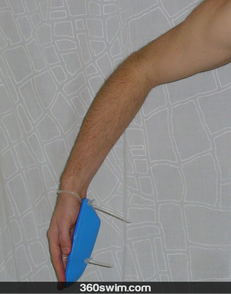 Early vertical forearm with antipaddles