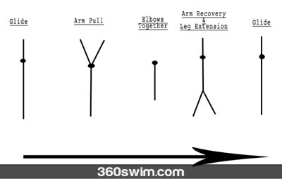 Breaststroke cycle pull-through and recovery of the right side during a