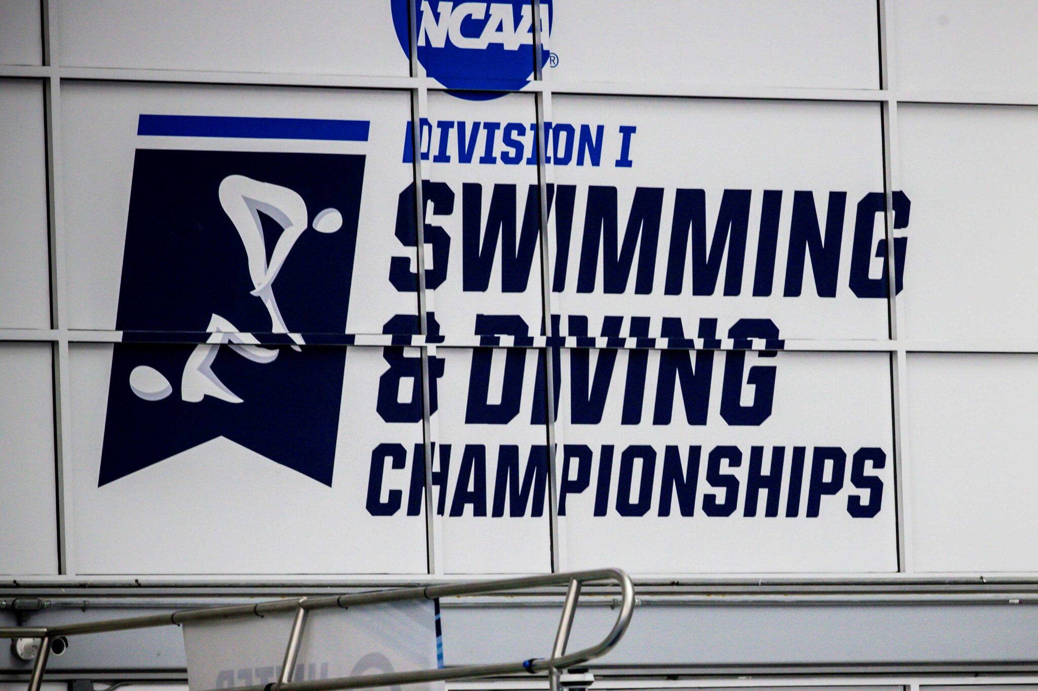 NCAA swimming