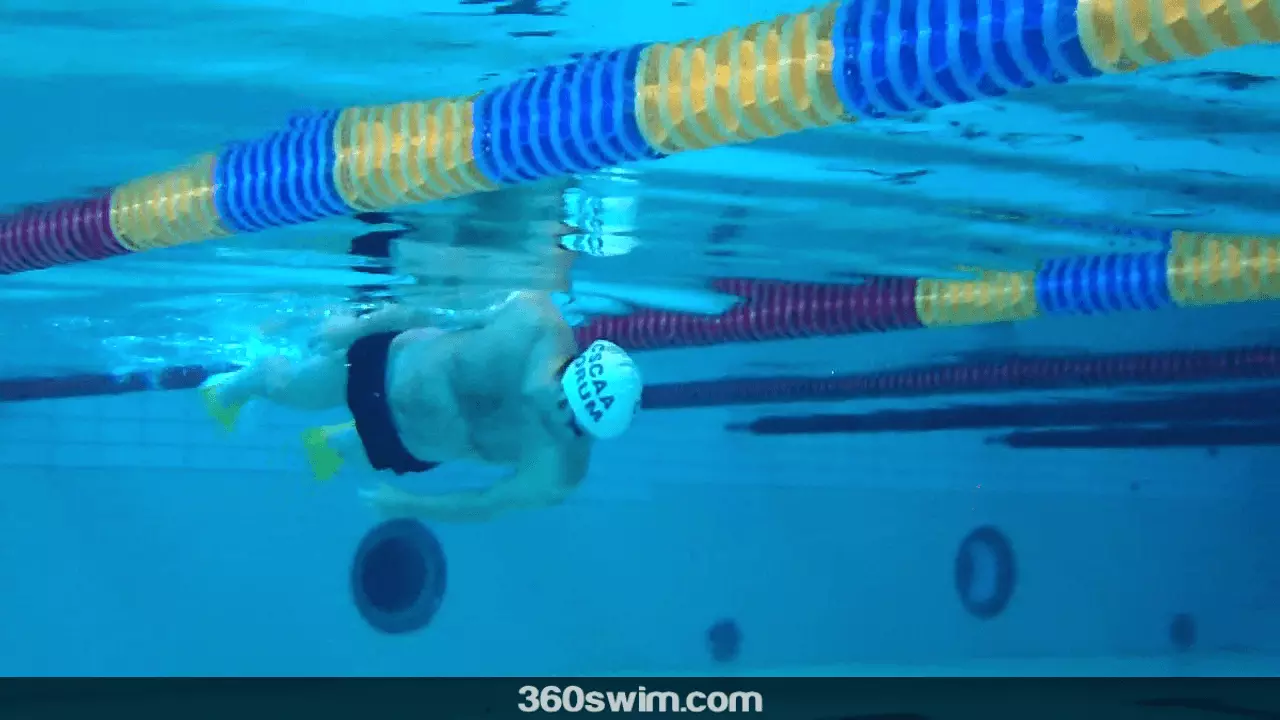 Hip rotation in swimming, your best friend Hip rotation is your best friend and will make you swim faster