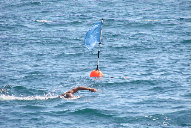 Rosta keeping his swimming rhythm in the ocean