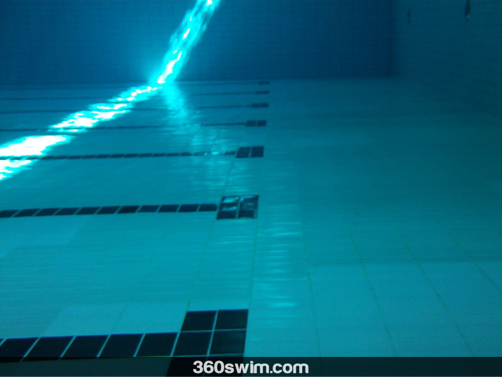 Tranquility in the pool