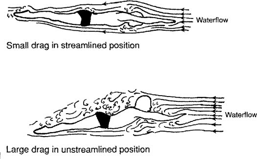 Streamline graphic from the book Swimming Fastest by Ernie W. Maglischo