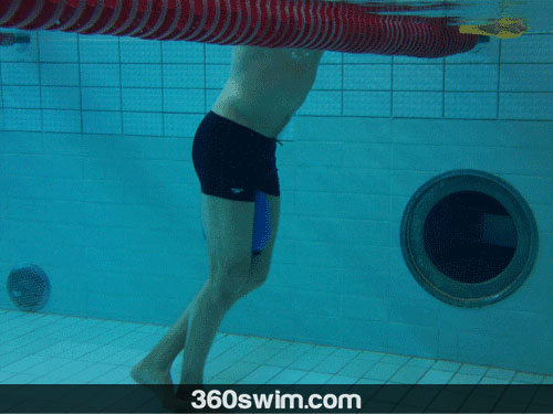 What's Your Swim Type? (Custom Tailored Swim Classes)